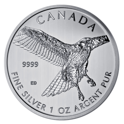 Kanada 1 Oz Silber Birds of Prey 2015 1 Oz Silber Rotschwanzbussard Vorderseite