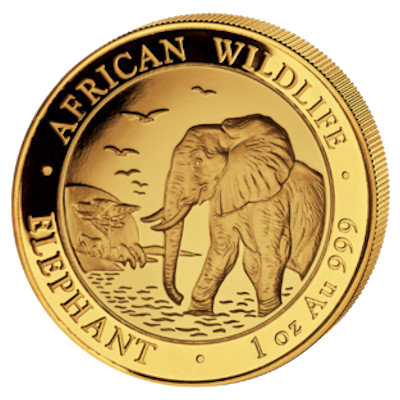 Somalia African Wildlife Gold Elefant 2010 1 Oz Gold
