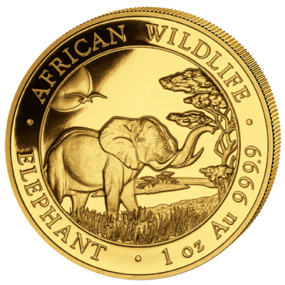 Somalia African Wildlife Gold Elefant 2019 1 Oz Gold